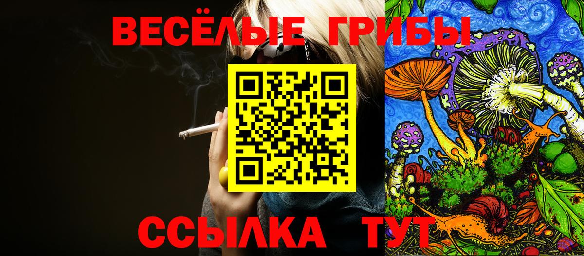 Галлюциногенные грибы Psilocybine cubensis Богданович